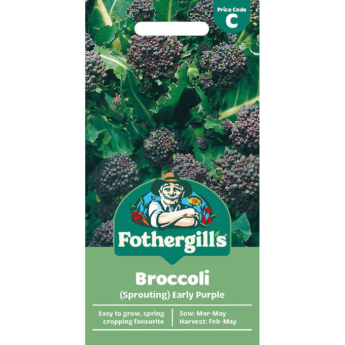 Broccoli (Sprouting) Early Purple - Image 1