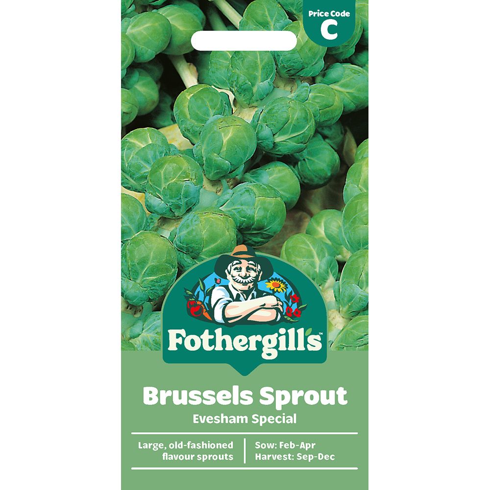 Packet of Fothergill’s Brussels Sprout Evesham Special seeds with close-up image of green sprouts on the front.