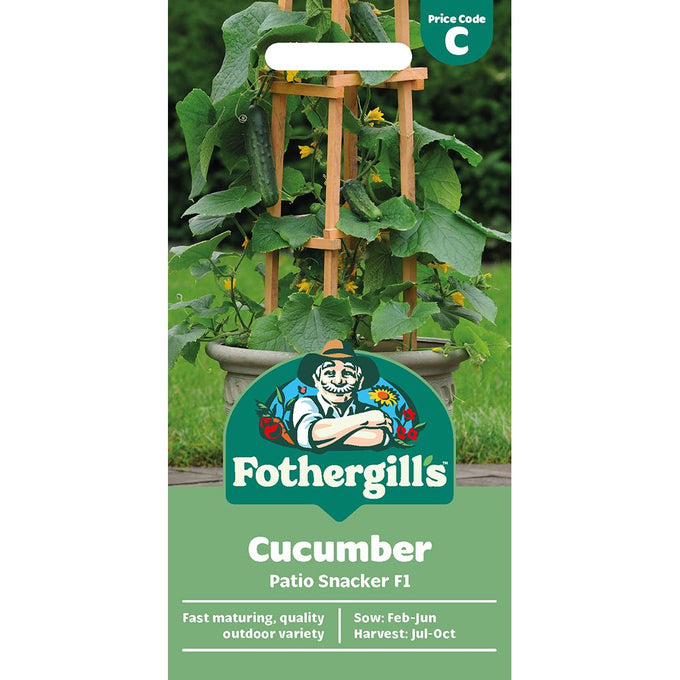 Cucumber Patio Snacker F1 - Image 1