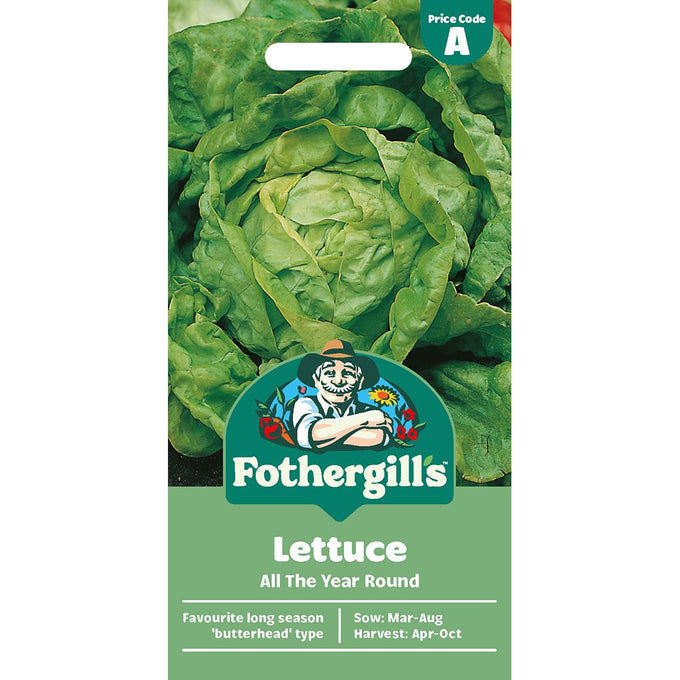 Lettuce All The Year Round - Image 1