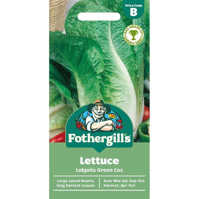 Lettuce Lobjoits Green Cos - Image 1