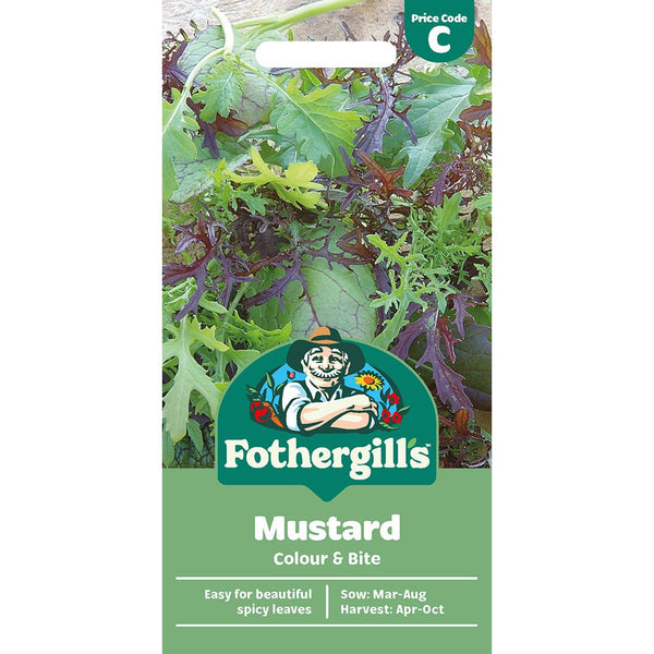 Mustard Colour & Bite