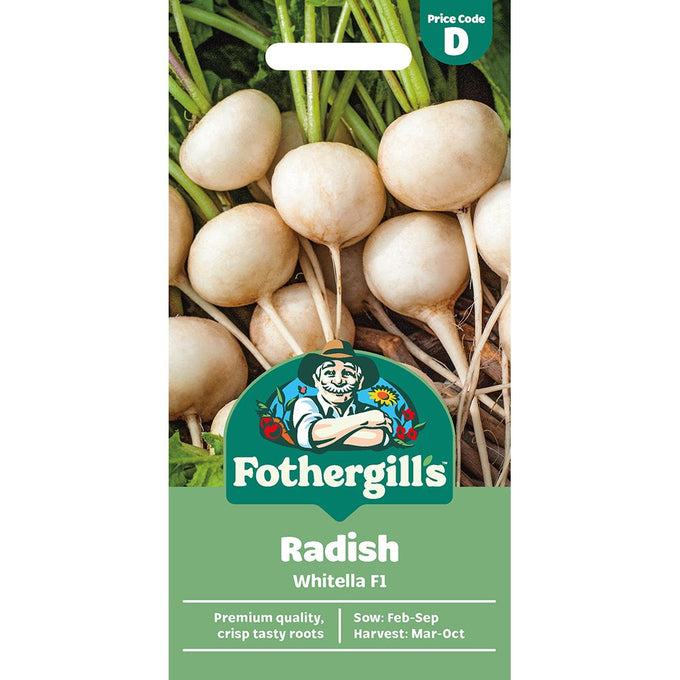 Radish Whitella F1 - Image 1