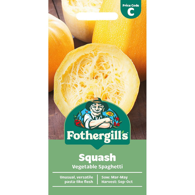 Squash Vegetable Spaghetti - Image 1