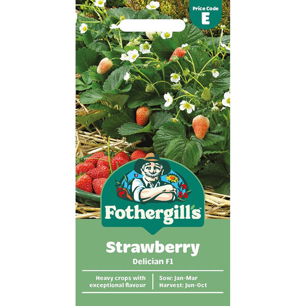Strawberry Delician F1