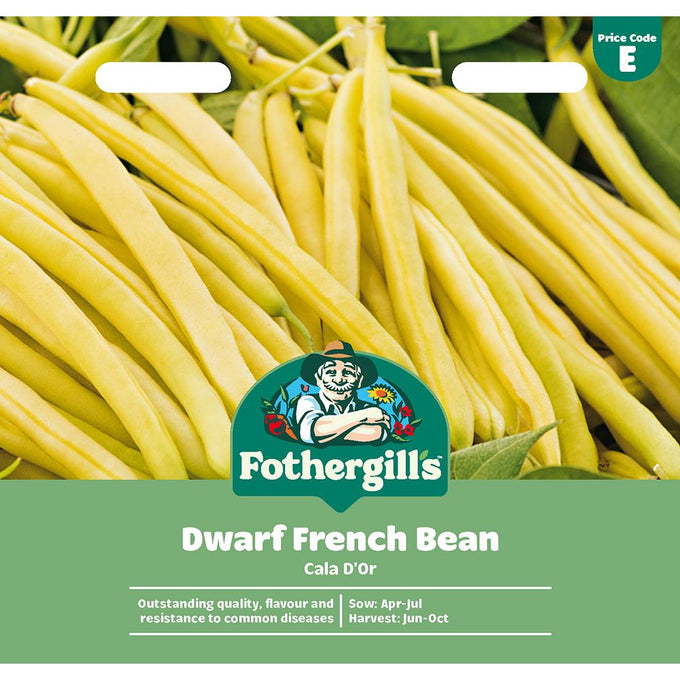 Dwarf French Bean Cala D'Or - Image 1