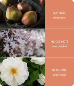 Fragrance Mini Candle Carousel Gift Set - Angel Touch Heart & Home