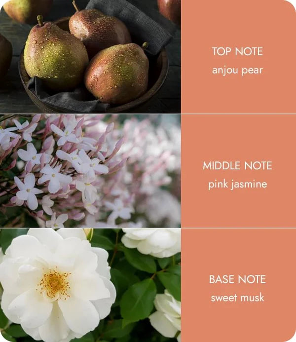 Fragrance Mini Candle Carousel Gift Set - Angel Touch Heart & Home - Image 3