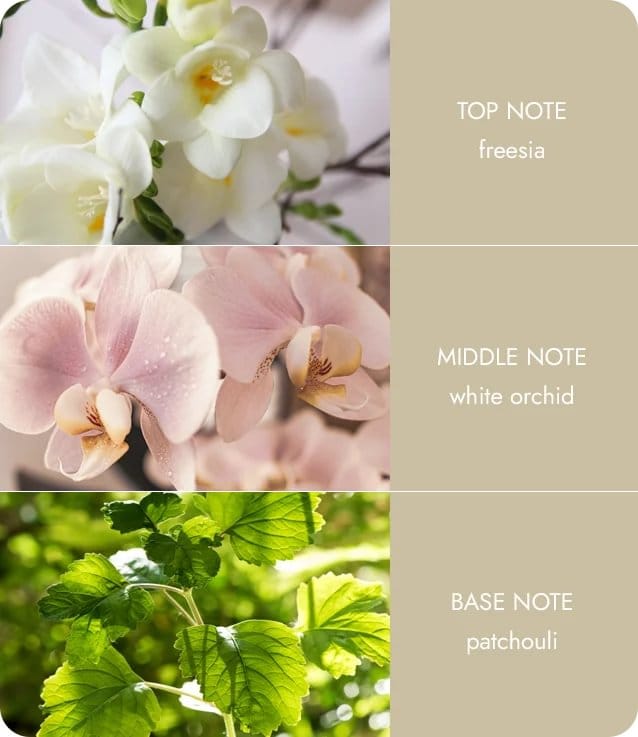 Fragrance notes for Twin Wick Ellipse Love Always candle: freesia, white orchid, and patchouli.