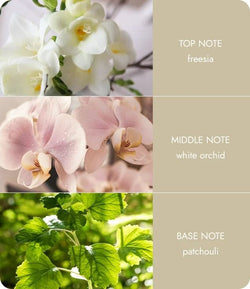 Essential Oil - Love Always 10ml Heart & Home