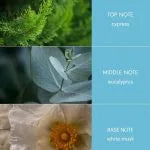 Twin Wick Ellipse - Tranquility 220g Heart & Home - Image 3