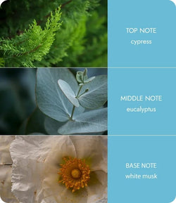 Essential Oil - Tranquility 10ml Heart & Home