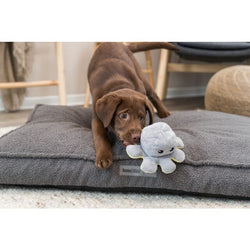 Reversible Octopus Plush Dog Toy with soft fabric, durable design – fun pet toy from Keans Claremorris