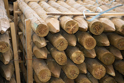 Peeled Green Post 5.5' Medium Round Stake 3"- 4"