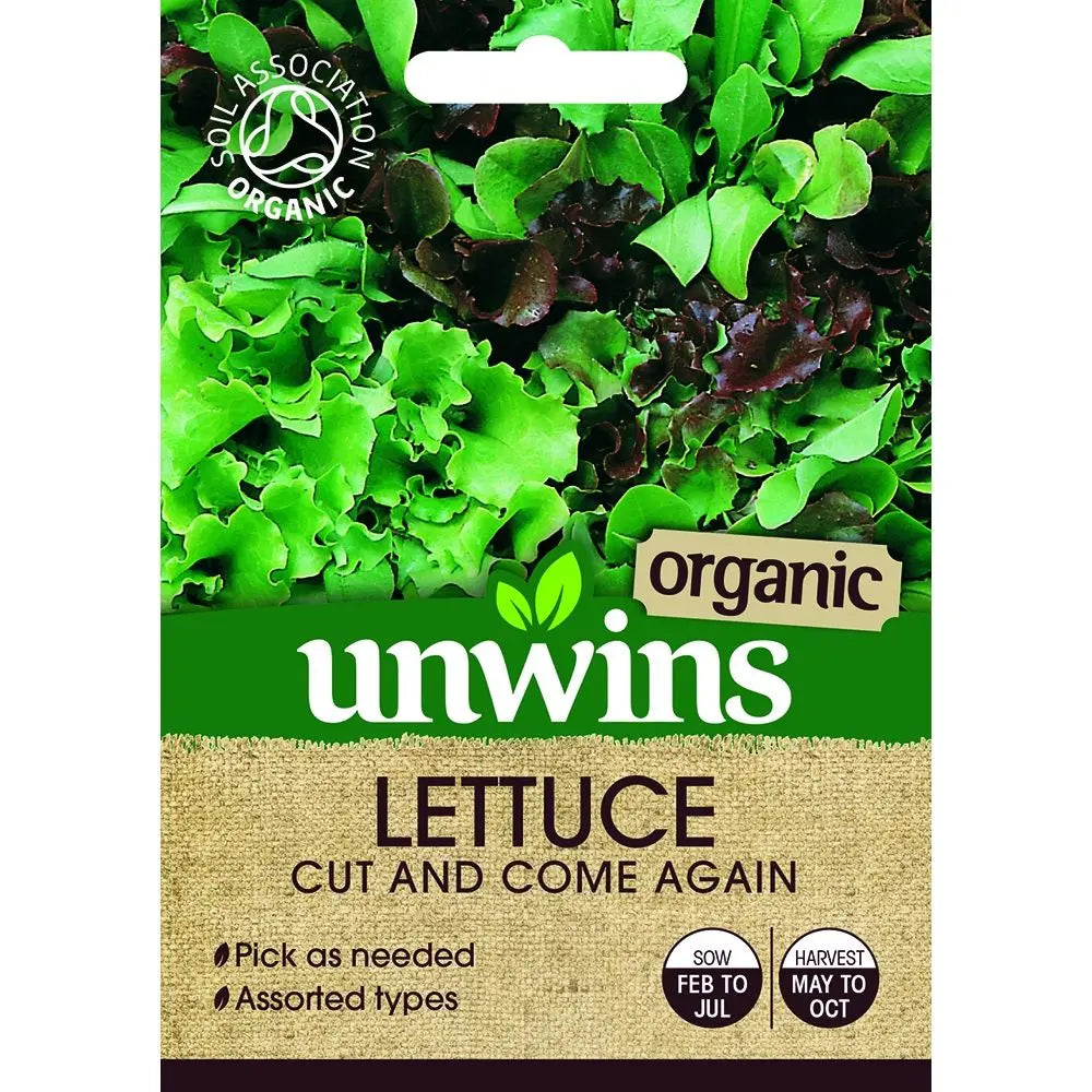 Organic Cut and Come Again Lettuce Leaves mix, including red and oak-leaf types, perfect for fresh summer salads - Keans