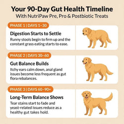 Nutri Paw Pro & Postbiotic Triple-Biotic Treats for Dogs – 120 Soft Chews