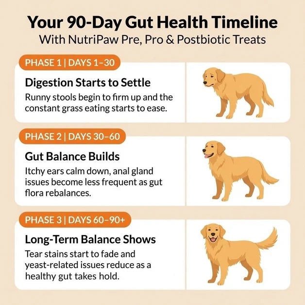 Nutri Paw Pro & Postbiotic Triple-Biotic Treats for Dogs – 120 Soft Chews - Image 3