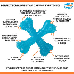 Nylabone Puppy Teething Chew X Bone XS – durable chew toy for puppies, available at Keans Claremorris.