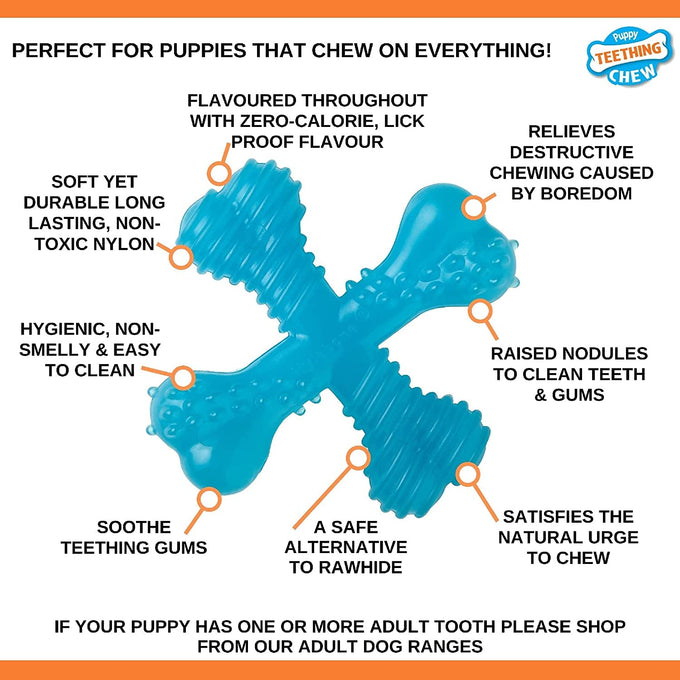 Nylabone Puppy Teething Chew X Bone XS – durable chew toy for puppies, available at Keans Claremorris.