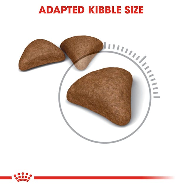 Royal Canin Hair & Skin Cat Food 2kg – Nutritional support for healthy fur, available at Keans Claremorris.