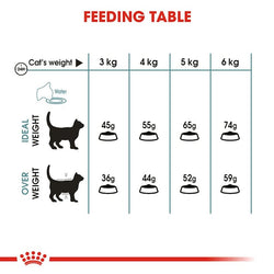 Royal Canin Hair & Skin Cat Food 2kg pack for healthy coat, available at Keans Claremorris.