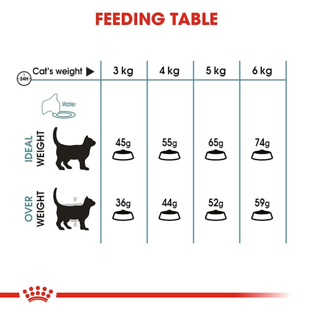 Royal Canin Hair & Skin Cat Food 2kg pack for healthy coat, available at Keans Claremorris.