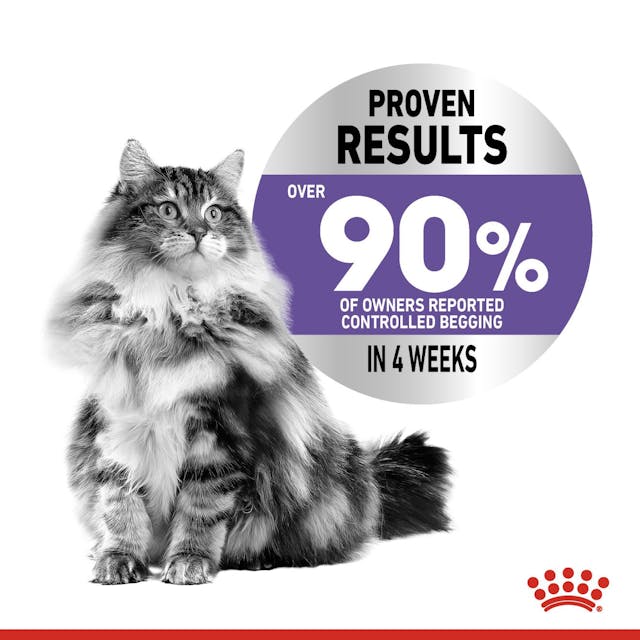 Royal Canin Appetite Control Care Cat Food 3.5kg pack available at Keans Claremorris