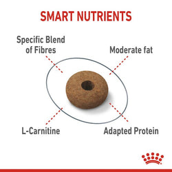 Royal Canin Appetite Control Care Cat Food 3.5kg – Weight Management Formula | Available at Keans Claremorris