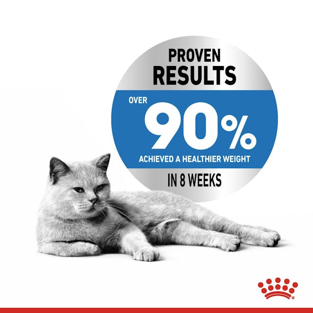 Royal Canin Light Weight Care Cat Food 1.5kg – Weight Management Formula | Available at Keans Claremorris