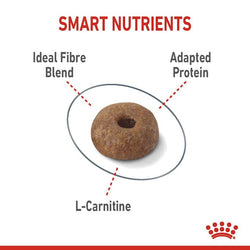 Royal Canin Light Weight Care Cat Food 1.5kg pack available at Keans Claremorris store