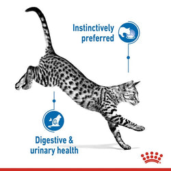 Royal Canin Indoor Care Cat Pouch Jelly 85g – Wet Cat Food, Keans Claremorris