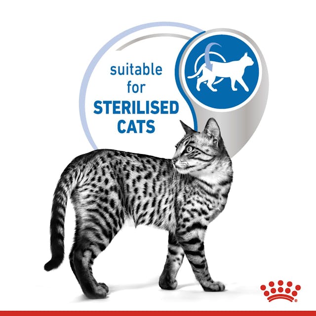 Royal Canin Indoor Care Cat Pouch Jelly 85g – Wet Cat Food, Keans Claremorris