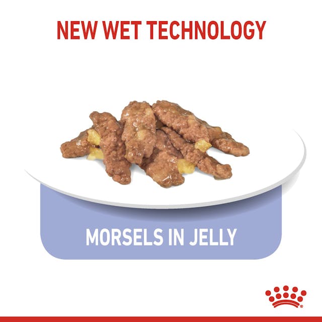 Royal Canin Indoor Care Cat Pouch Jelly 85g – Wet Cat Food, Keans Claremorris