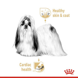 Royal Canin Shih Tzu Dog Pouch 85g wet food for small breed dogs available at Keans Claremorris
