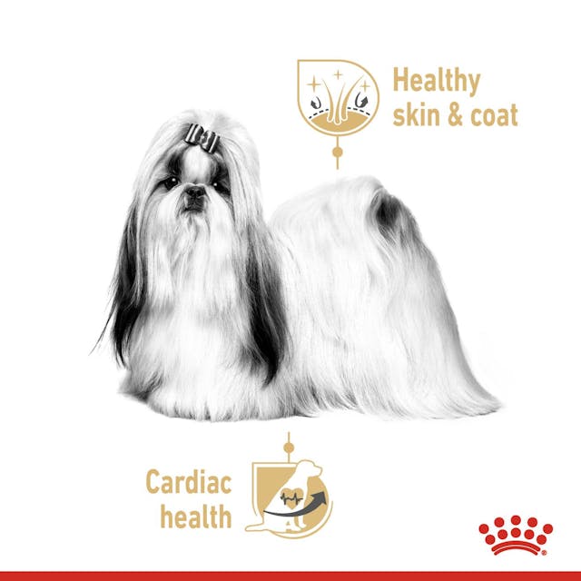 Royal Canin Shih Tzu Dog Pouch 85g wet food for small breed dogs available at Keans Claremorris