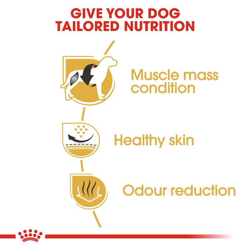 Royal Canin French Bulldog Adult Dog Food 9kg bag available at Keans Claremorris