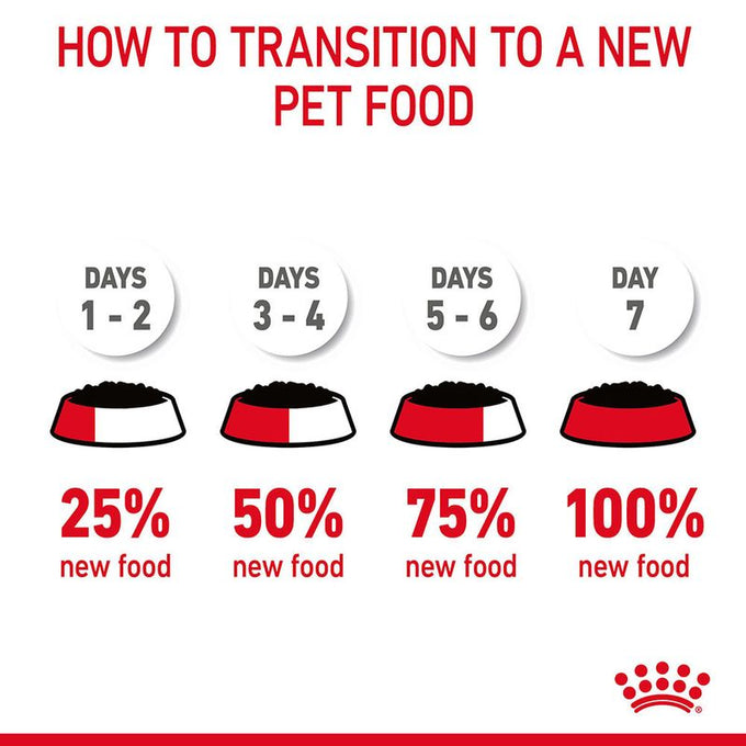 Royal Canin Digest Sensitive Cat Pouch 85g – Wet Cat Food for Sensitive Digestion | Keans Claremorris