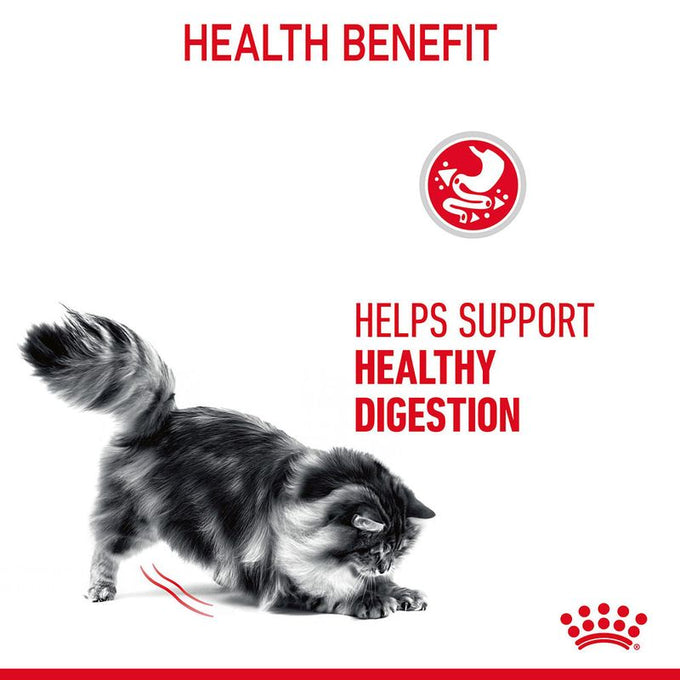 Royal Canin Digest Sensitive Cat Pouch 85g – Wet Cat Food for Sensitive Digestion | Available at Keans Claremorris