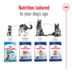 Royal Canin Maxi Adult Dog Food 15kg bag for large breeds – available at Keans Claremorris