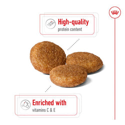 Royal Canin Medium Adult Dog Food 15kg bag available at Keans Claremorris store