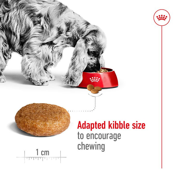 Royal Canin Medium Adult Dog Food 15kg bag available at Keans Claremorris store