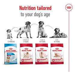 Royal Canin Medium Adult Dog Food 15kg bag available at Keans Claremorris store