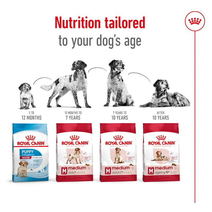 Royal Canin Medium Adult Dog Food 15kg bag available at Keans Claremorris store