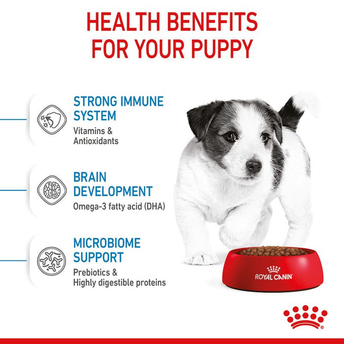Royal Canin Mini Puppy Junior Dog Food 8kg - Premium Nutrition for Small Breed Puppies | Keans Claremorris