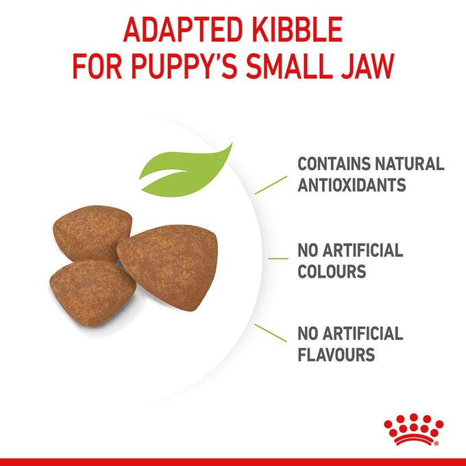 Royal Canin Mini Puppy Junior Dog Food 8kg - Premium Nutrition for Small Breed Puppies | Keans Claremorris