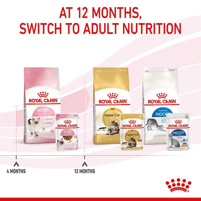 Royal Canin Kitten Pouch in Gravy 85g – Nutritious wet food for kittens, available at Keans Claremorris.