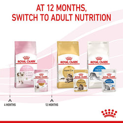 Royal Canin Kitten Jelly Pouch 85g – Nutritious wet food for kittens, available at Keans Claremorris.