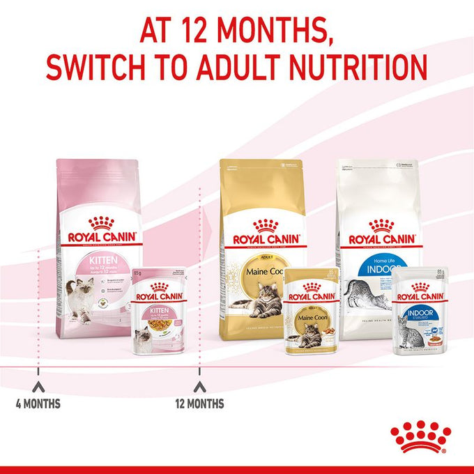 Royal Canin Kitten Jelly Pouch 85g – Nutritious wet food for kittens, available at Keans Claremorris.