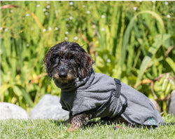 Grey XL 75cm dog bathrobe towel with adjustable straps, wide collar, and tail press studs for easy drying - Keans Claremorris