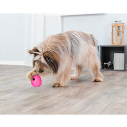 Roly Poly Snack Egg - fun, colorful treat perfect for kids | Available at Keans Claremorris